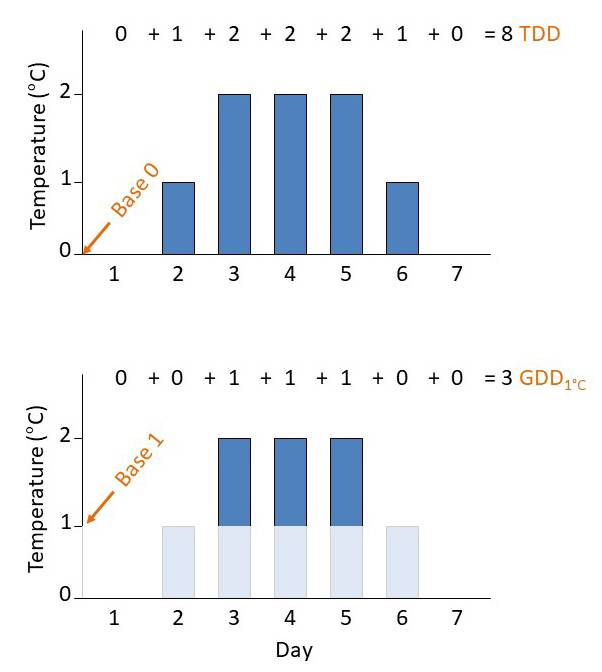 graphs showing how to calculate TDD and GDD